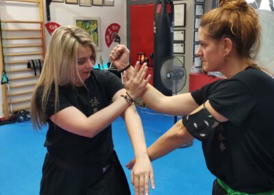 Wing Chun characteristics