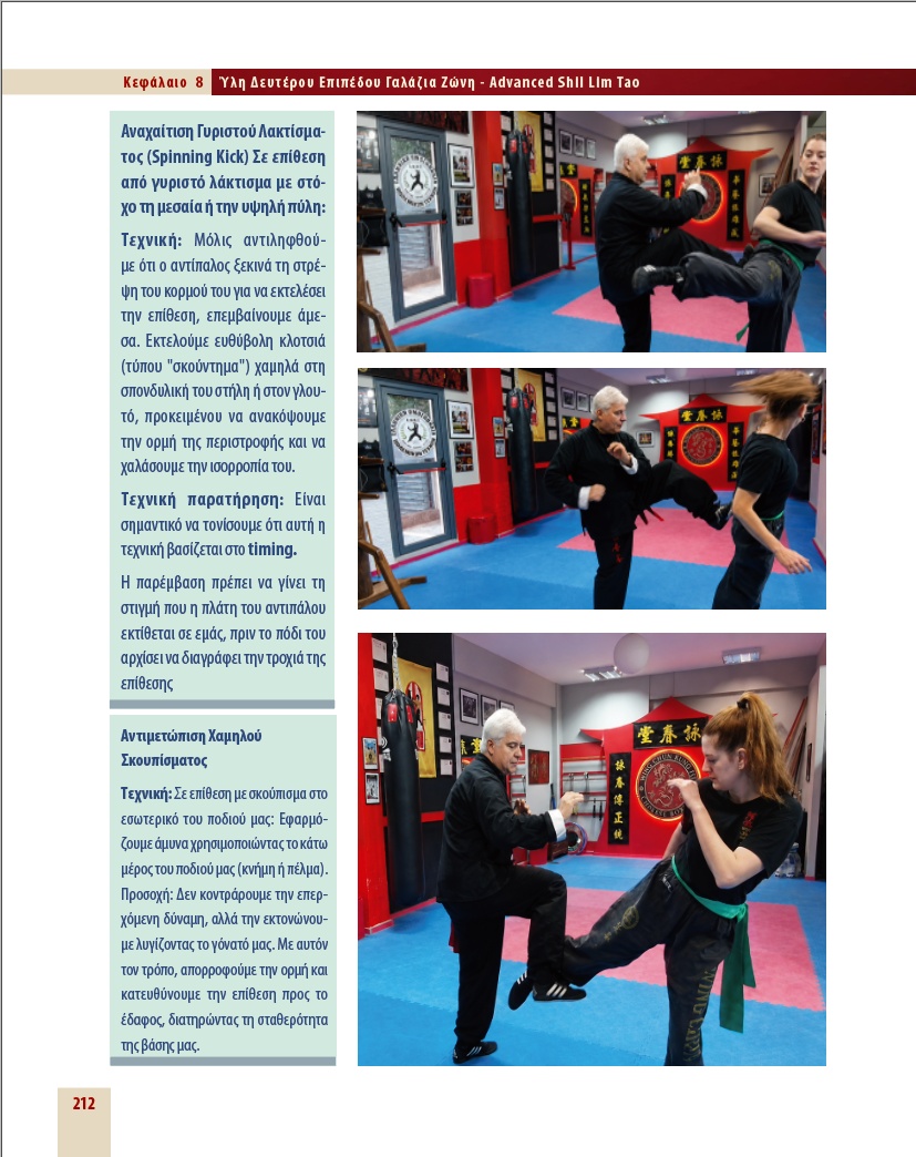 wing_chun_page_212 Δείγμα σελίδας από το βιβλίο Wing Chun Η Τέχνη της Αυτοάμυνας