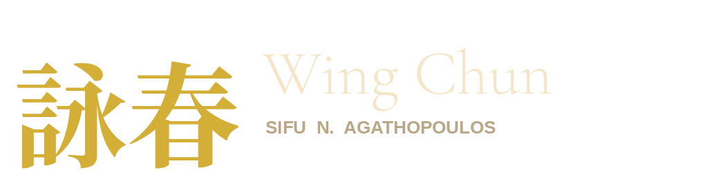 Ιδιαίτερα Μαθήματα Wing Chun στη Θεσσαλονίκη